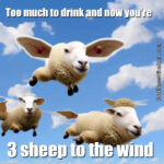 Three Sheep to the Wind - Matthew Shelton
